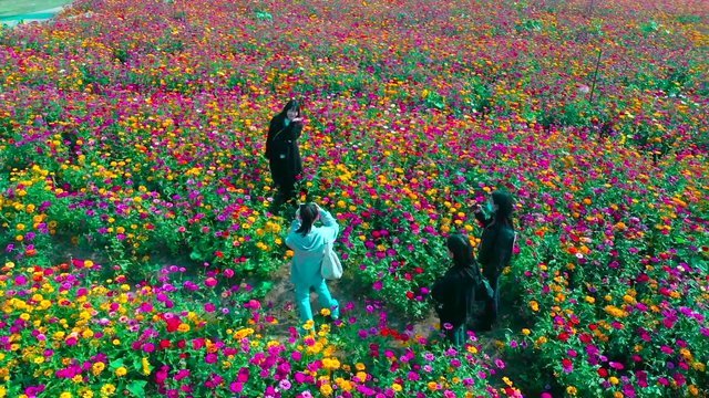 Tourists take pictures in the sea of flowers